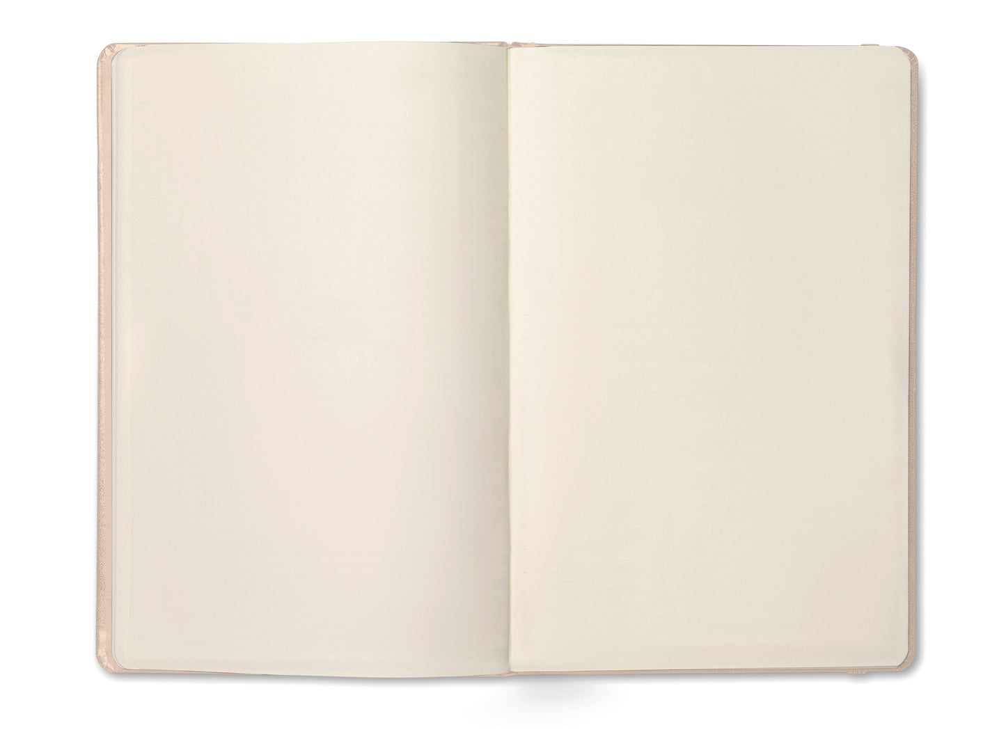 ARCONOT PLAIN