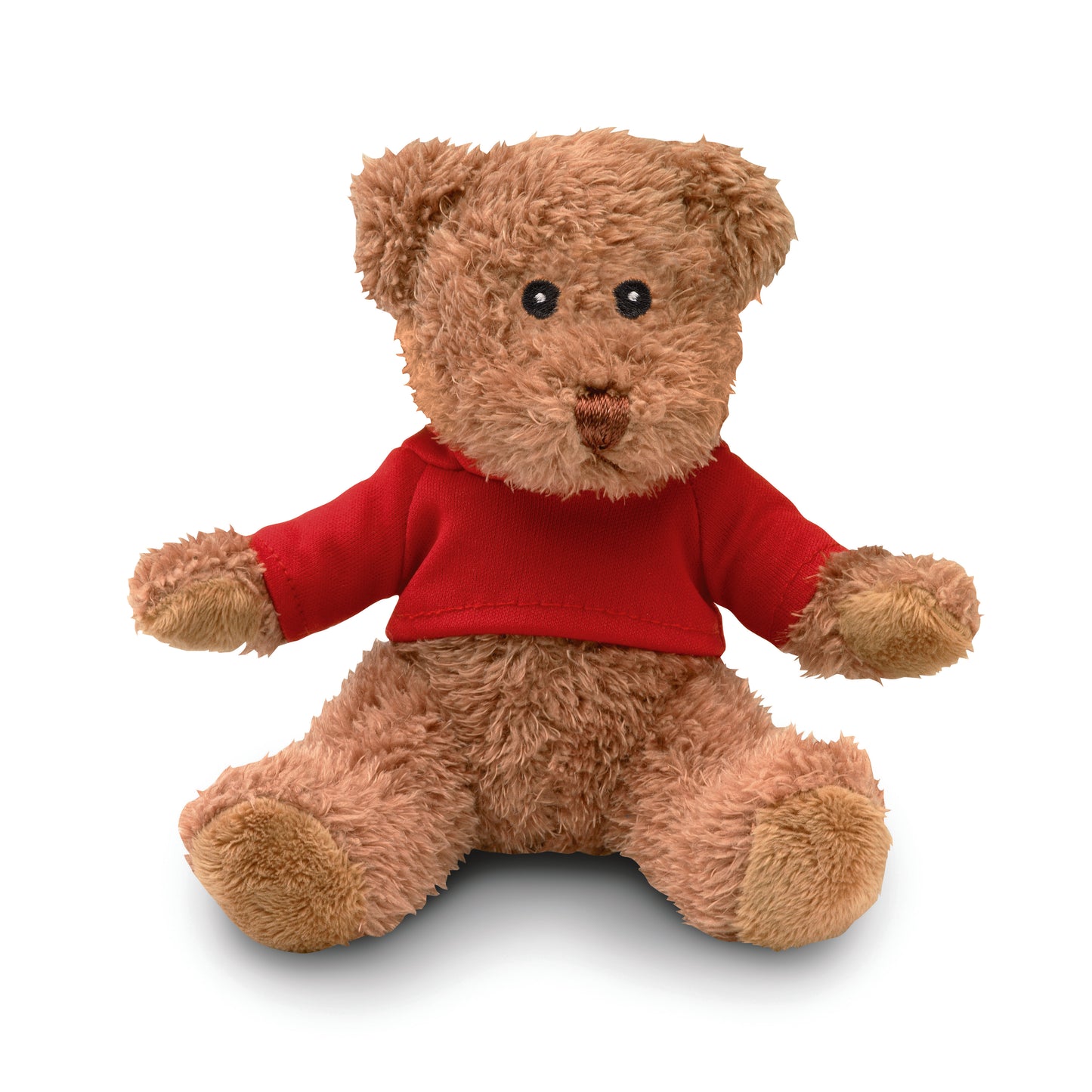 Teddybär aus Plüsch im T-Shirt. Sublimationsdruck nur auf weißem Material möglich.