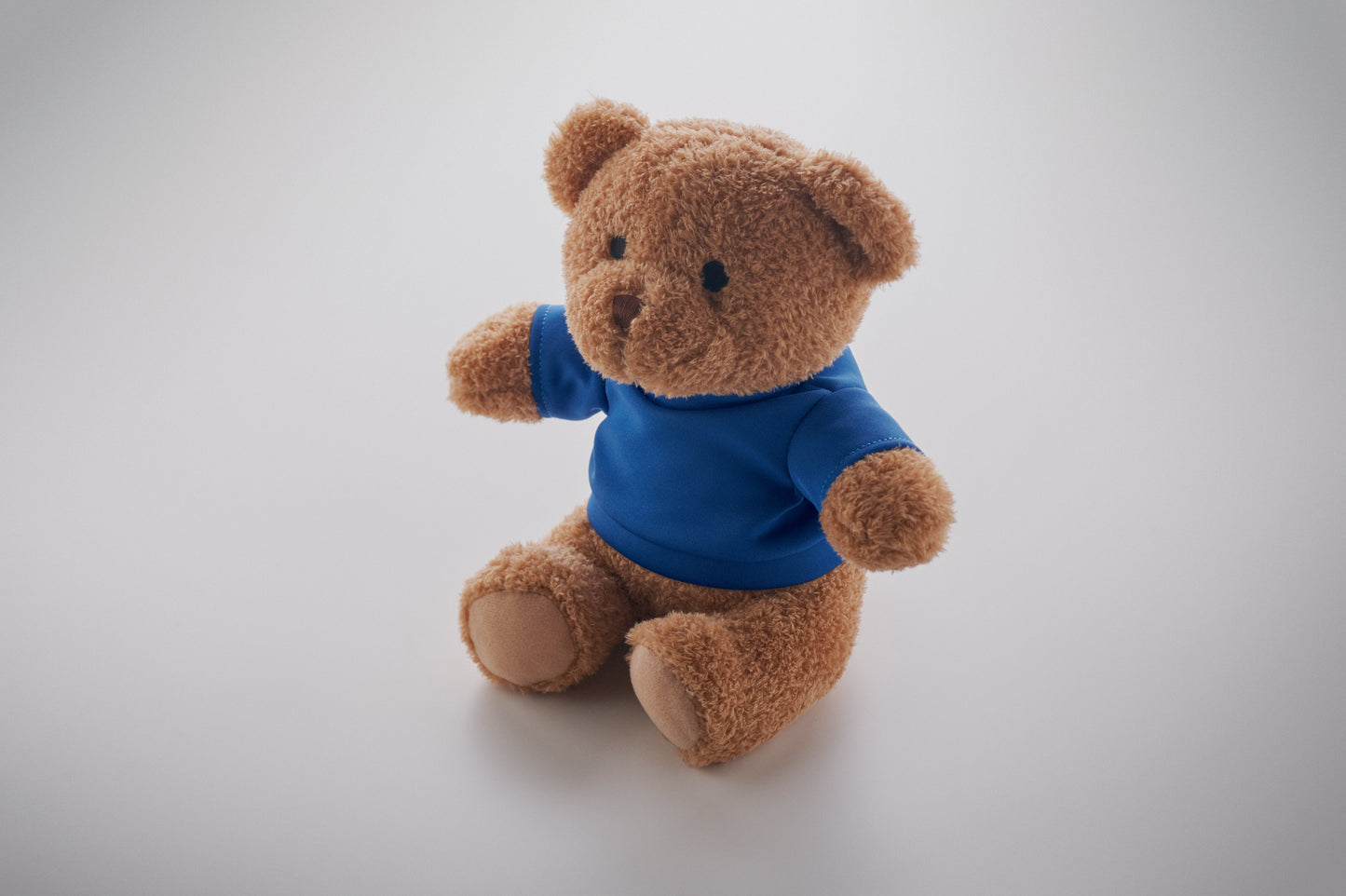 Teddybär aus Plüsch im T-Shirt. Sublimationsdruck nur auf weißem Material möglich.